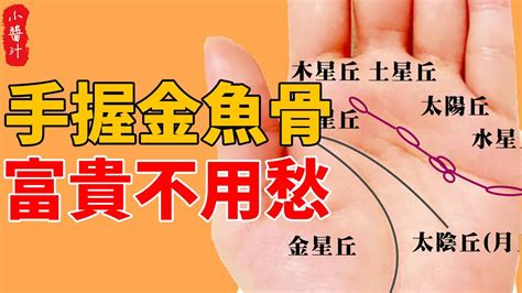 金魚佬是什麼意思|香港地道俗語